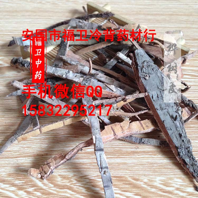 桦树皮 中药材批发 安国市中药材市场 桦树皮 中药材批发 安国市中药材市场