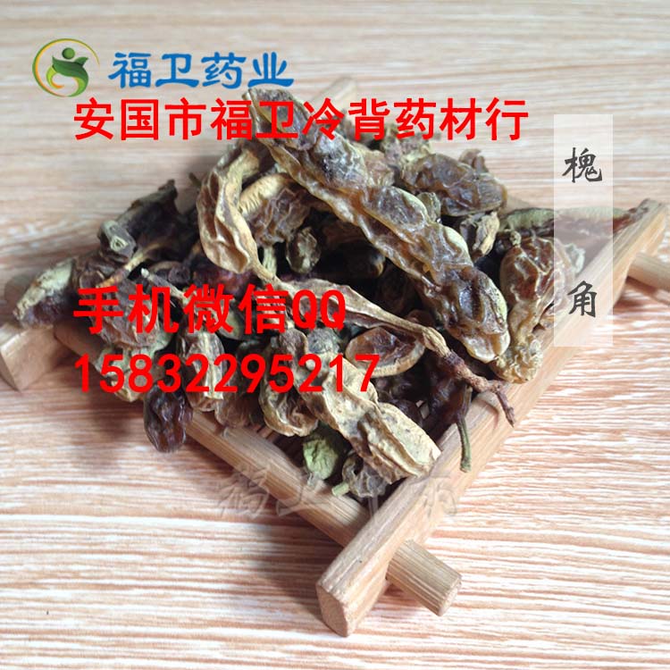 槐角 槐豆 中药材批发 安国市中药材市场 槐角 槐豆 中药材批发 安国市中药材市场